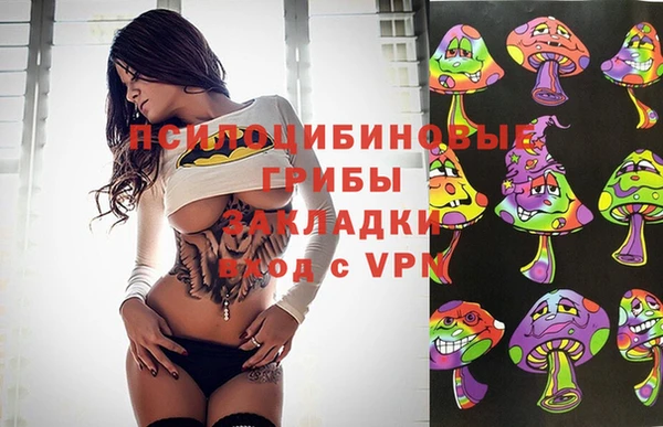 не бодяженный Каменногорск